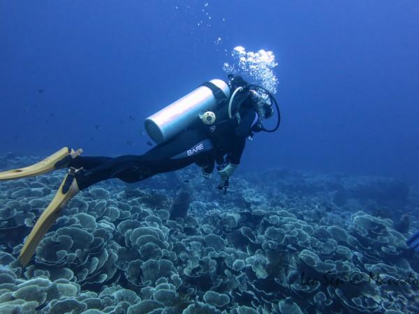 水磨沟区科学普及增动力 奋楫谱写新篇章